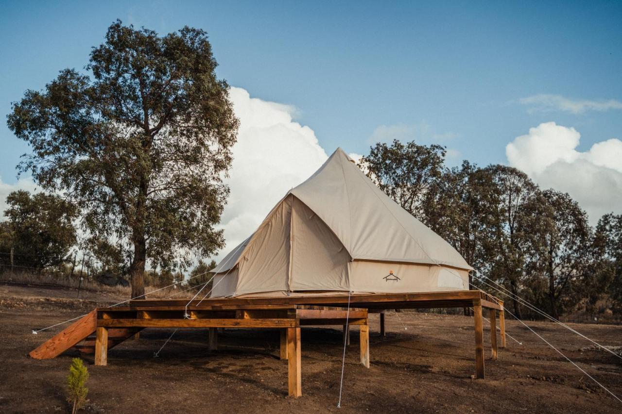 Lago Valle Wine Glamping Valle de Guadalupe Exteriör bild