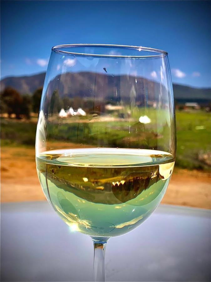 Lago Valle Wine Glamping Valle de Guadalupe Exteriör bild