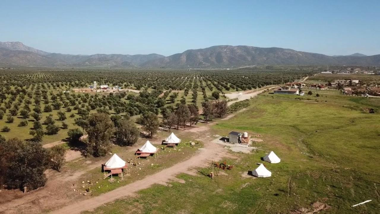 Lago Valle Wine Glamping Valle de Guadalupe Exteriör bild
