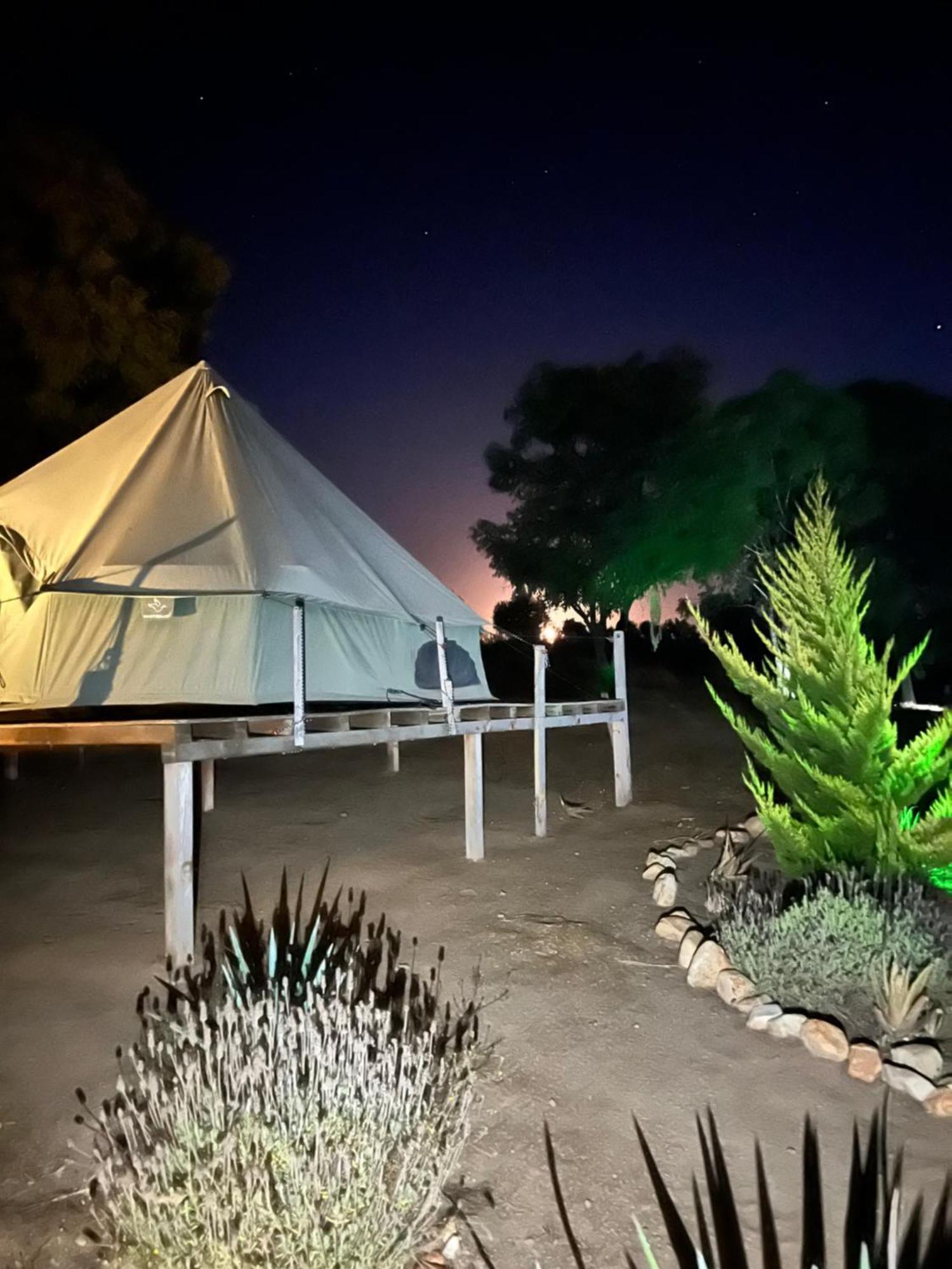 Lago Valle Wine Glamping Valle de Guadalupe Exteriör bild
